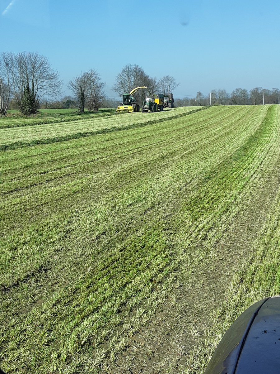 blanchet tweet media