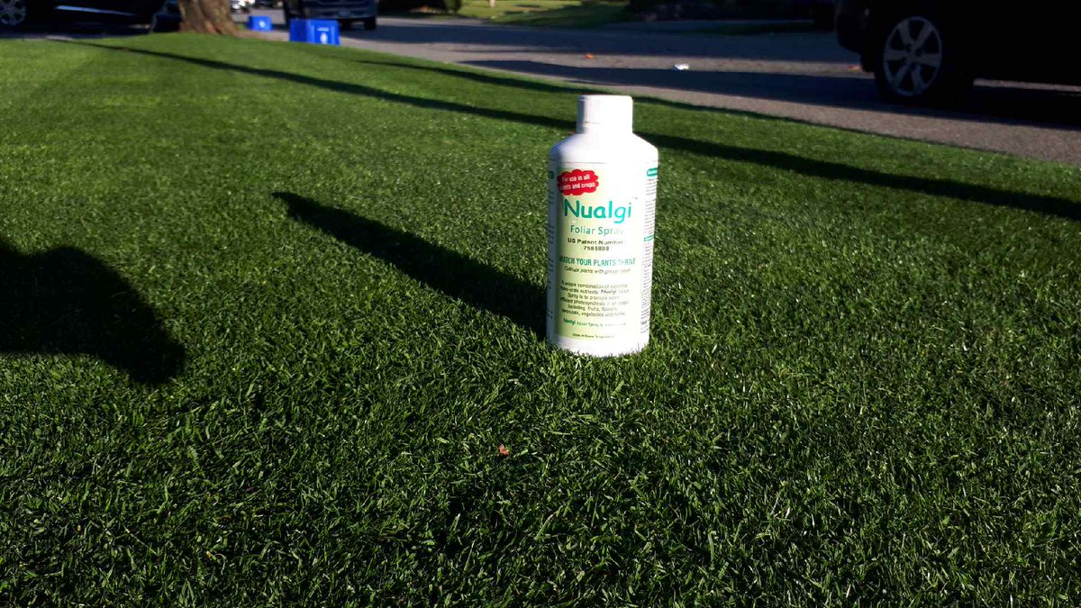 "I would encourage all Superintendents to at least trial the product and make a determination for themselves" David Dore-Smith, Superintendent, Copperleaf GC, Bonita Springs FL.

nualgipromo.com/fishing/

nualgipromo.com/golf/