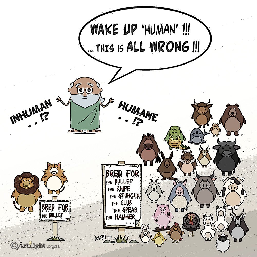 ArtLightAfrica's tweet photo. "All that you touch, you change. All that you change - changes YOU!"
#artlight #plantbased #wildlifeinCrisis #deception #falsemedia #fakeConservation #savebigcats #SafariforChange #ResponsibleTourism #rhinos #lions #HandsoffourWildlife #vegan @goVegan #BanTheScam #crueltyfree https://t.co/Dd9U01DYPP