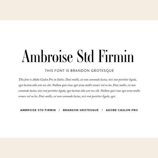 GoLive HQ tweet media