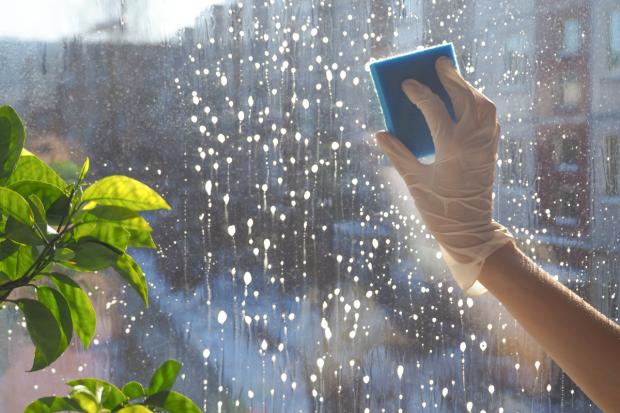 Fensterputzen leicht gemacht: 
schoener-wohnen.de/einrichten/414…