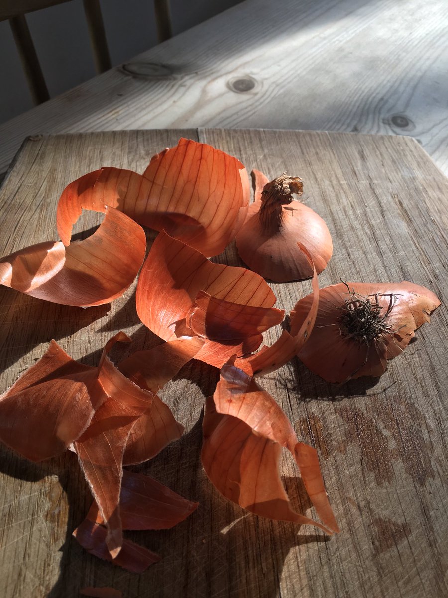 ‘The papery golden skin of ONIONS should not be thrown away. They are good natural colouring for soups and stews. Both should always be made golden and delectable by cooking the skins in it’. Dorothy Hartley 1954