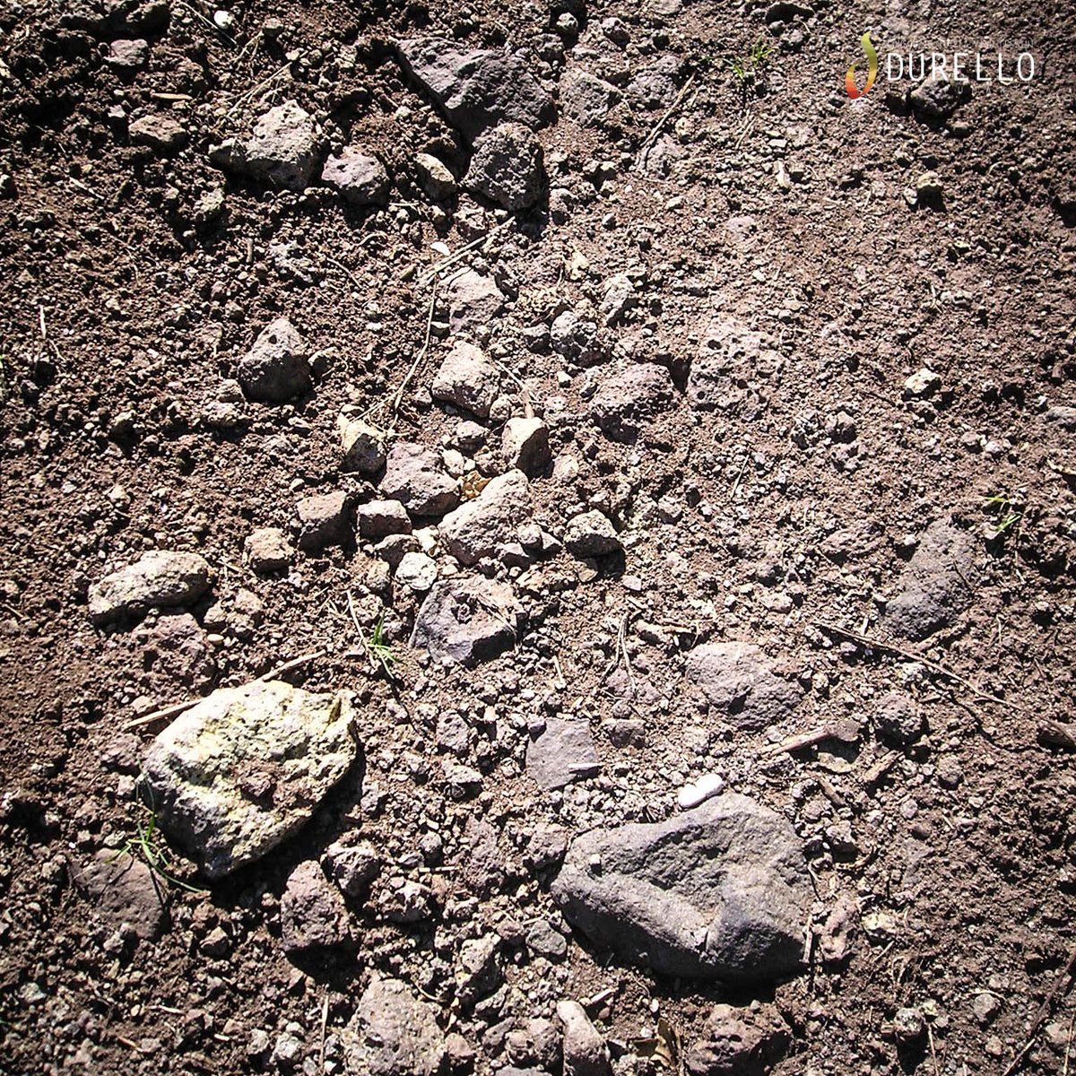 DurelloWine's tweet photo. Our soil? Volcanic soils are exceptional in every sense of the word. They represent 1% of the Earth’s surface. They are composed of tuffs and basalts that are transferred into the wine, giving it a characteristic mineral tang. 🌋🍾
 #DurelloWine #lessinidurello #lessinia #wine https://t.co/E1ajULCyE6