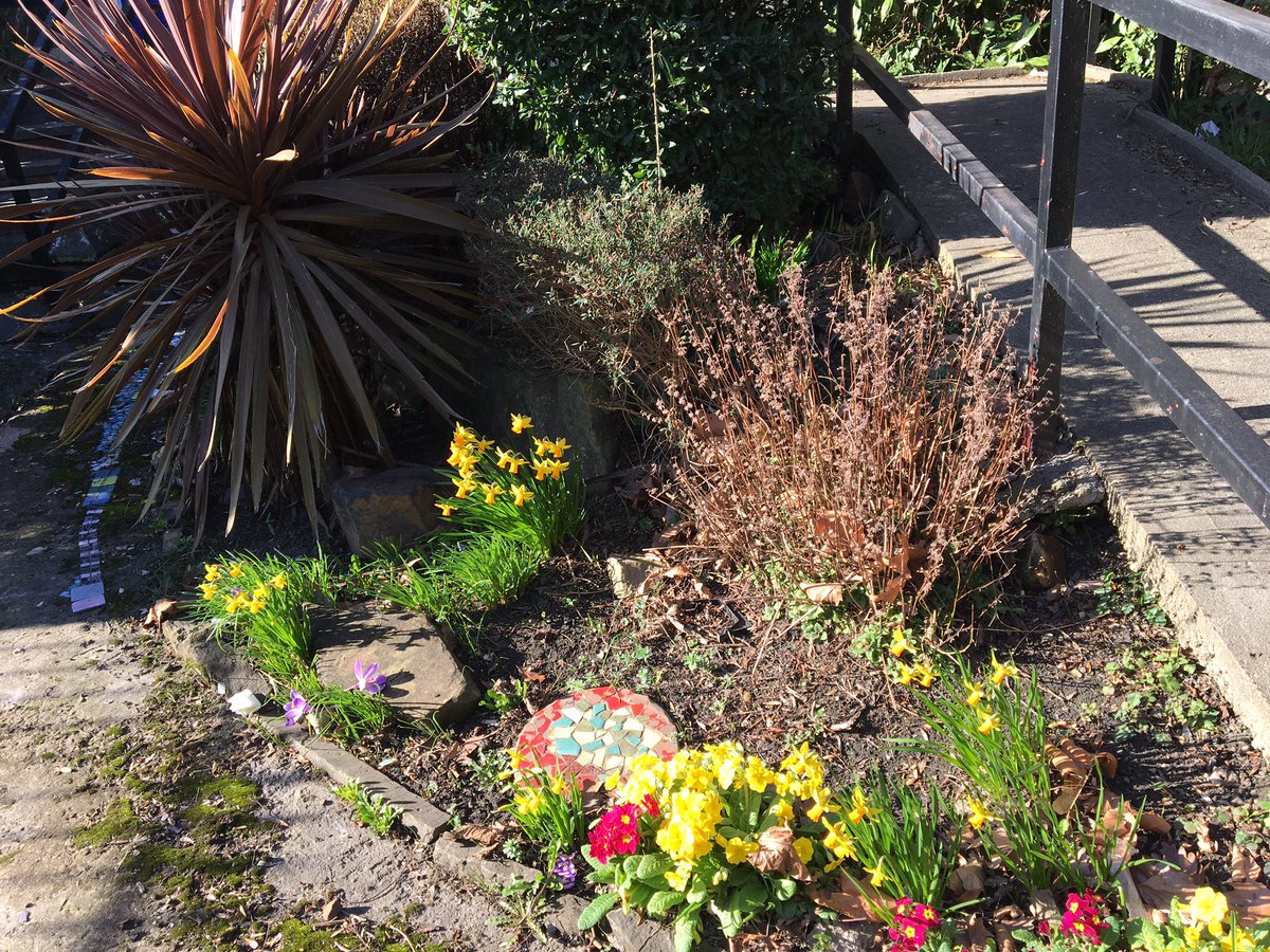 sylviefourcin's tweet photo. It’s Spring in the Artlink garden :) https://t.co/RkQ6g64i8y