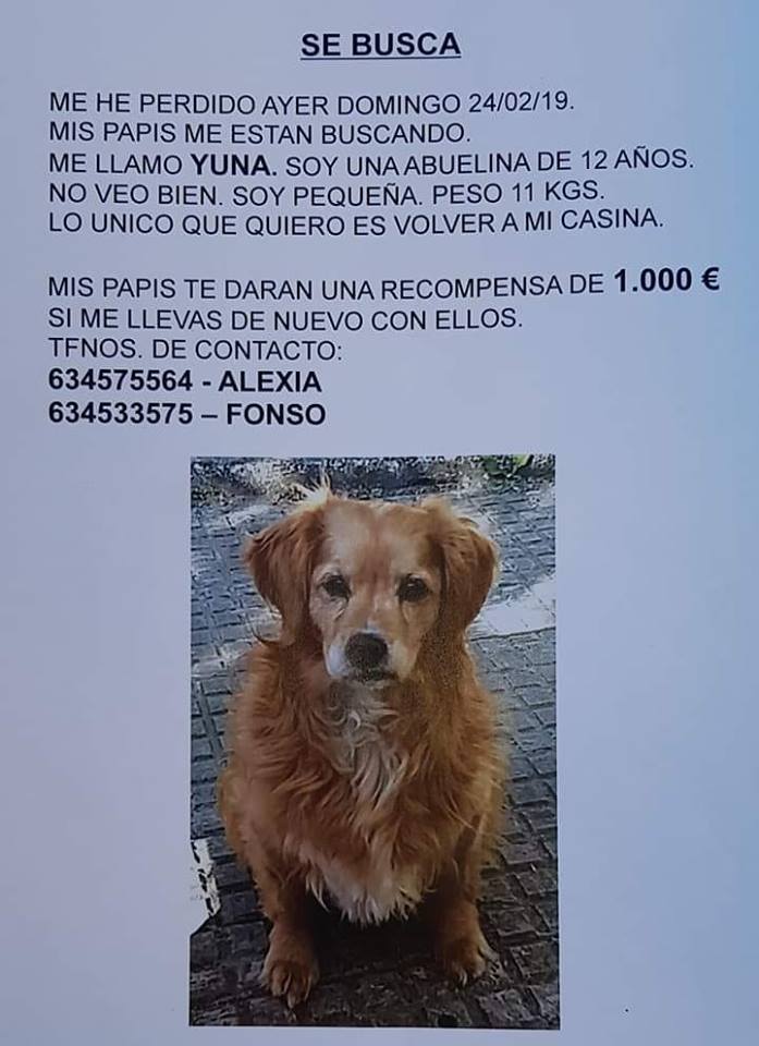 SOS Abuelos tweet media