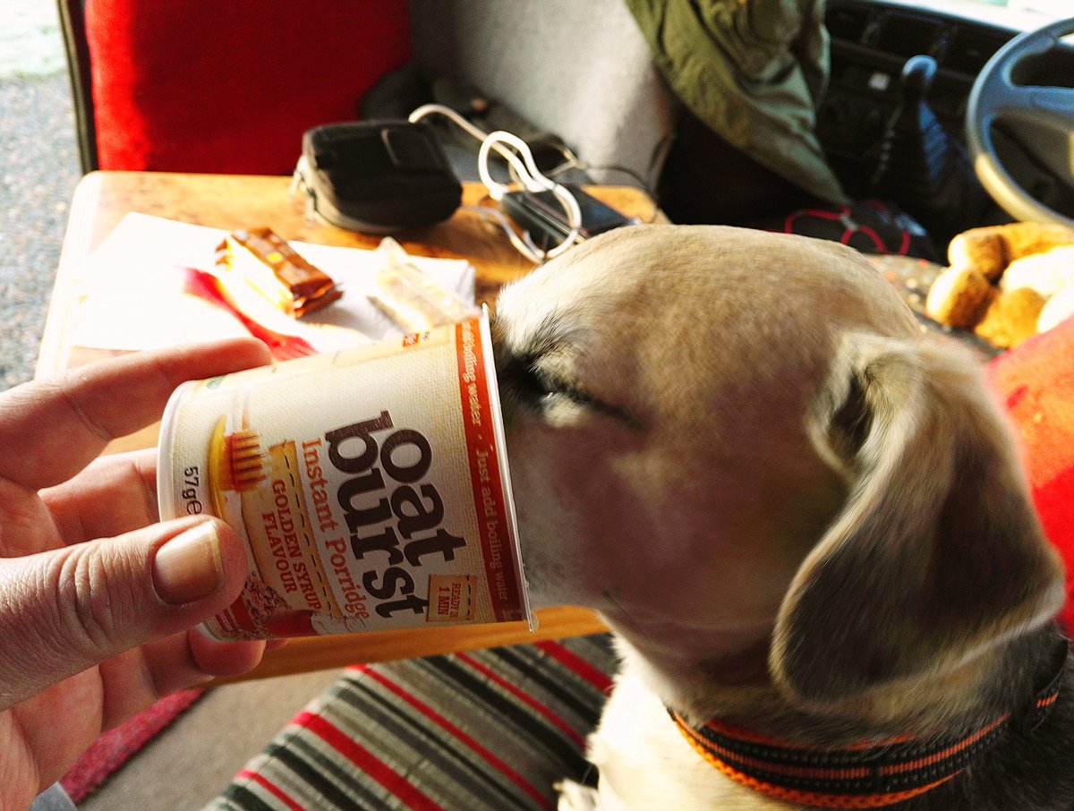 CampervanPup's tweet photo. https://t.co/quY677vgEj