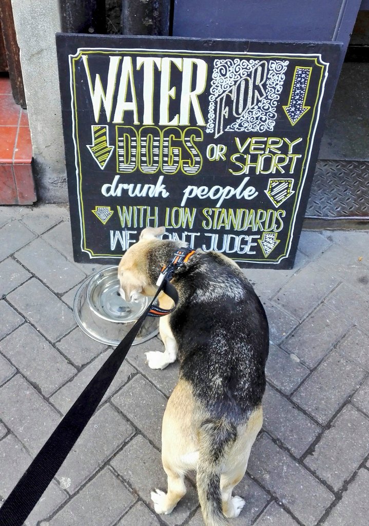 CampervanPup's tweet photo. Chilling out around Edinburgh https://t.co/N9sBLOF2ac