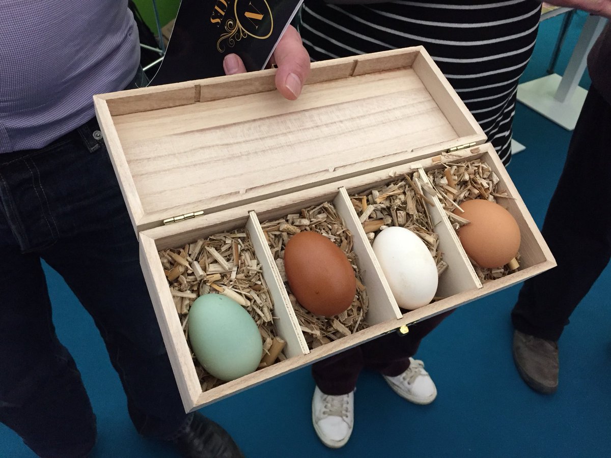 Collet Béatrice tweet media