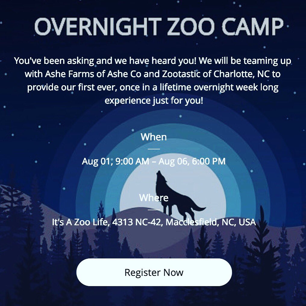 realitsazoolife's tweet photo. This is gonna be so amazing! A week long, overnight camp at our zoo! Have you ever wondered what tiger cubs do at night??! You can find out! https://t.co/O0cs7g9L7h