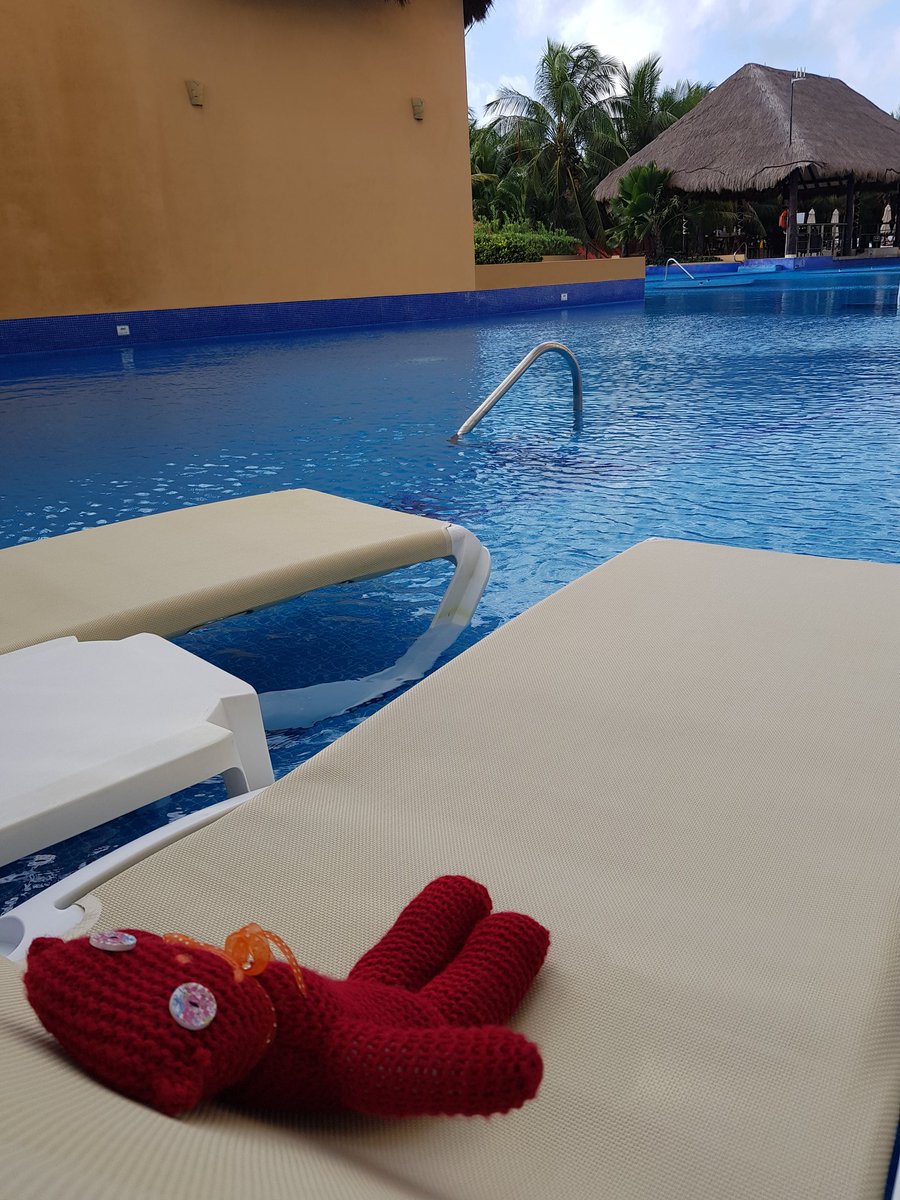 Calloooomm's tweet photo. @FigenMurray here's Nikita enjoying the last morning at her swim up pool in Mexico, before heading back to new adventures in her newly purchased flat in the UK. Thank you so much for my 30th birthday companion 😍 https://t.co/TjA7w6Hhlv