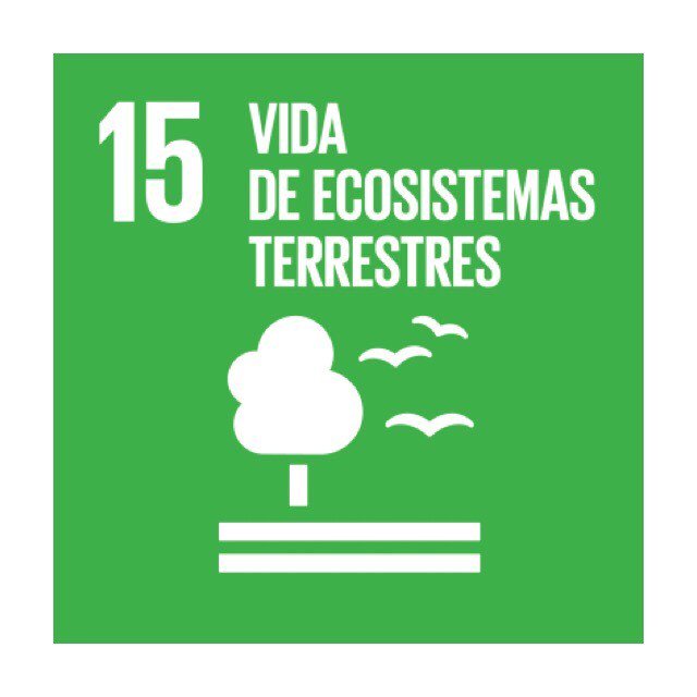 Twitter 上的 Pacto Global Chile："Objetivos de Desarrollo Sostenible ♻️🌎  Objetivo 15: Vida de ecosistemas terrestres 🌲 📌Alrededor de 1.600  millones de personas dependen de los bosques para su sustento. Más  información ➡️