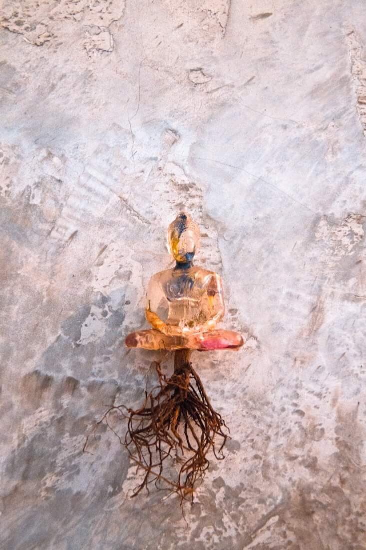 JoshBulriss's tweet image. To be calm is the highest achievement of the self.
     — Zen proverb