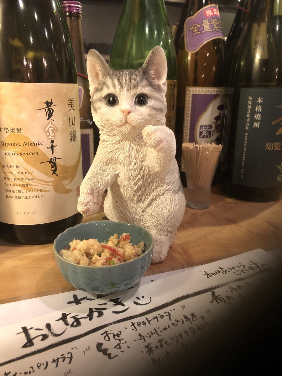 originental's tweet photo. 久しぶりに🤗オーナーとスタッフでお気に入りのおばんざい屋さんでご飯🎉
猫さんかわいい😍❤️

【電話予約、ネット予約受け付けております!】#spaoriginental #生活習慣改善専門サロン#マッサージ#オイルトリートメント #京都 #四条 #河原町 #リラクゼーション #アロマ #リンパマッサージ #リンパ https://t.co/NIhyfdemw7