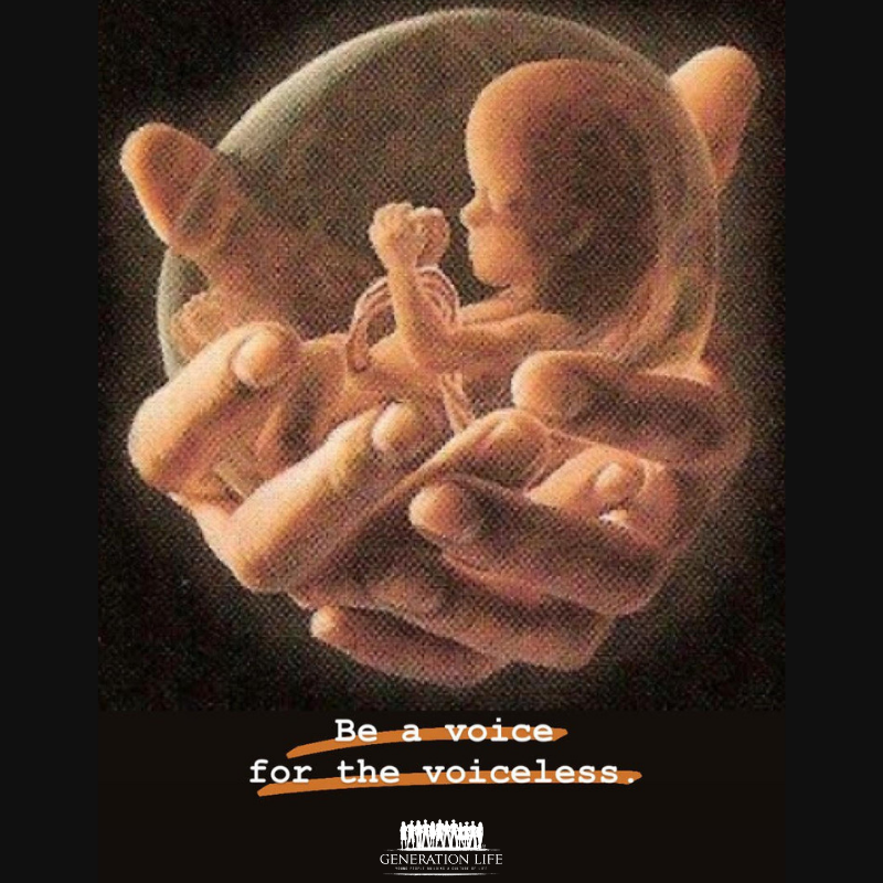 Generation_Life's tweet photo. "The time is always right to do what is right." MLK Jr. What are you doing today to be a #voice for the #voiceless? #prolife #promom #prodad #probaby #unbornlivesmatter #crisispregnancy #unbornbabies #whywemarch #genlife #generationlife #prolifegeneration https://t.co/zDZQTjF1yR