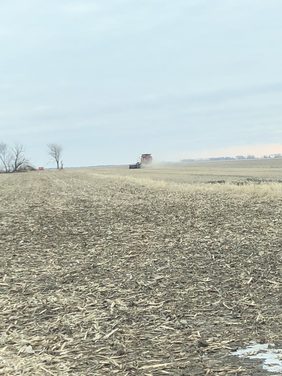 Couple guys getting a jumpstart on #harvest19 this morning. If you’re not first you’re last!