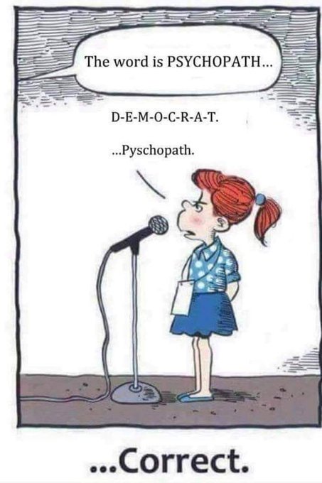 5b20be6386164f8's tweet photo. @realDonaldTrump @jeff17699598 #Democrat=Psychopath https://t.co/Ht0Y7AwuME