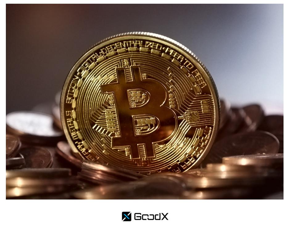 GoodX_Network's tweet photo. At 3800 USD, Bitcoin still values as one of the most ground breaking inventions! And #Hodlers believe in getting what you can, so why not use an easy way to do it? 

Get GoodX, then get Bitcoin: https://t.co/QFaQsFrp5V https://t.co/omuyCXV99J