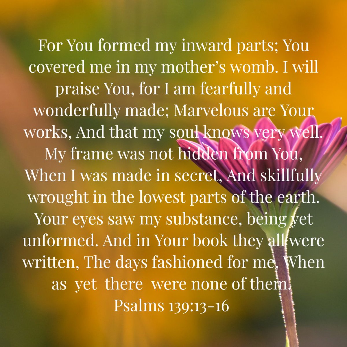 mrsboards's tweet photo. For You formed my inward parts; You covered me in my mother’s womb. I will praise You, for I…
https://t.co/0YRA2eL0IN https://t.co/57ieGqVKKG