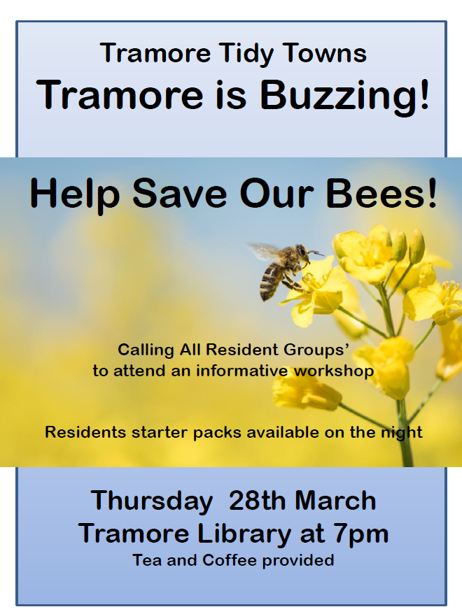 WaterfordLibs's tweet photo. Save Tramore's Bees! Workshop with Tramore Tidy Towns at Tramore Library on Thurs March 28th, all welcome #Waterford https://t.co/HoZjNbYamw
