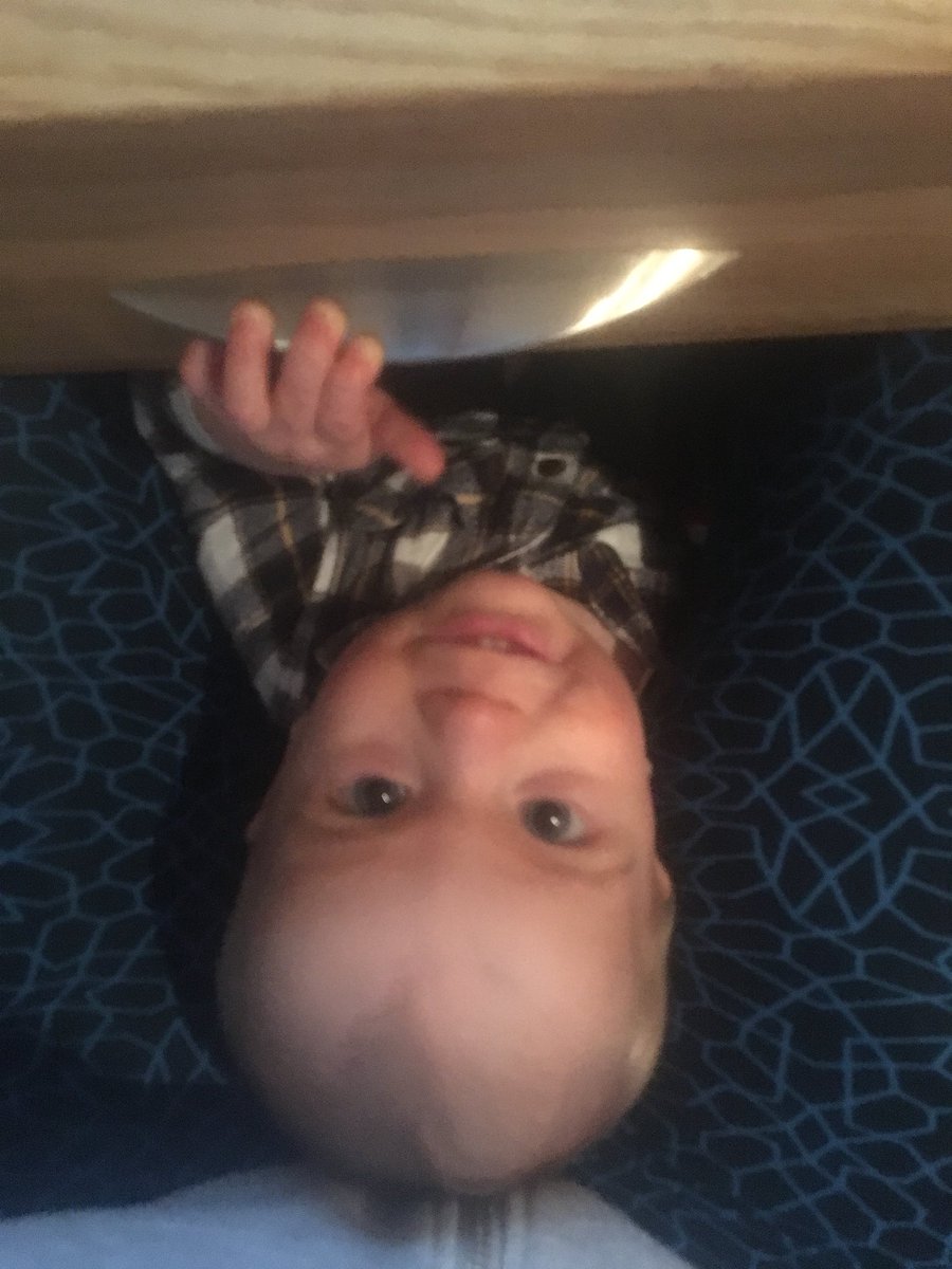 BeckiReay's tweet photo. Just sat infront of comp sending a couple of work emails....the boy crawled under the chair & popped up in between desk & me. Do u think heโs hinting?!? #PlayMoreWorkLess https://t.co/YvhDSL9wiS