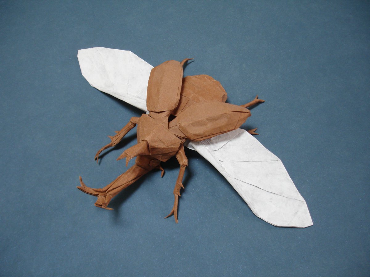 Kabutomushi 2011-2013