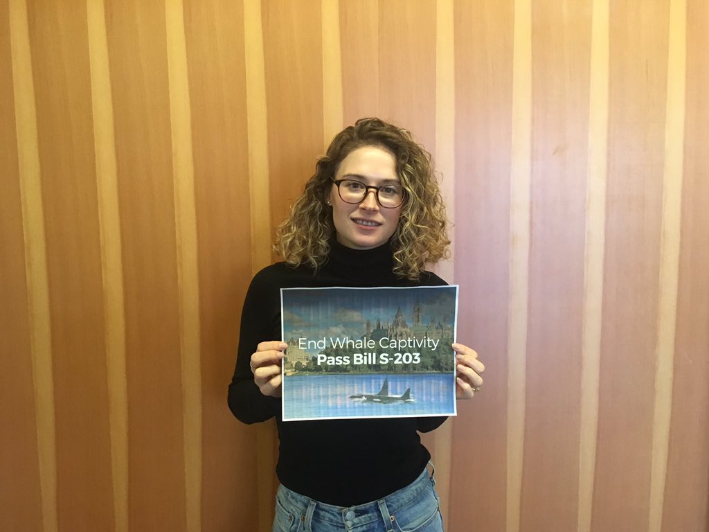 SaldfUbc's tweet photo. Members of the legal community support #BillS203 #cdnpoli Captivity is cruel @FinDonnelly @avalonMPKen @MelArnoldMP @blainecalkinsmp @PatFinniganMP @KenHardie @MorrisseyEgmont @ChurenceRogers @AnimalJustice https://t.co/TBBzPNom2U
