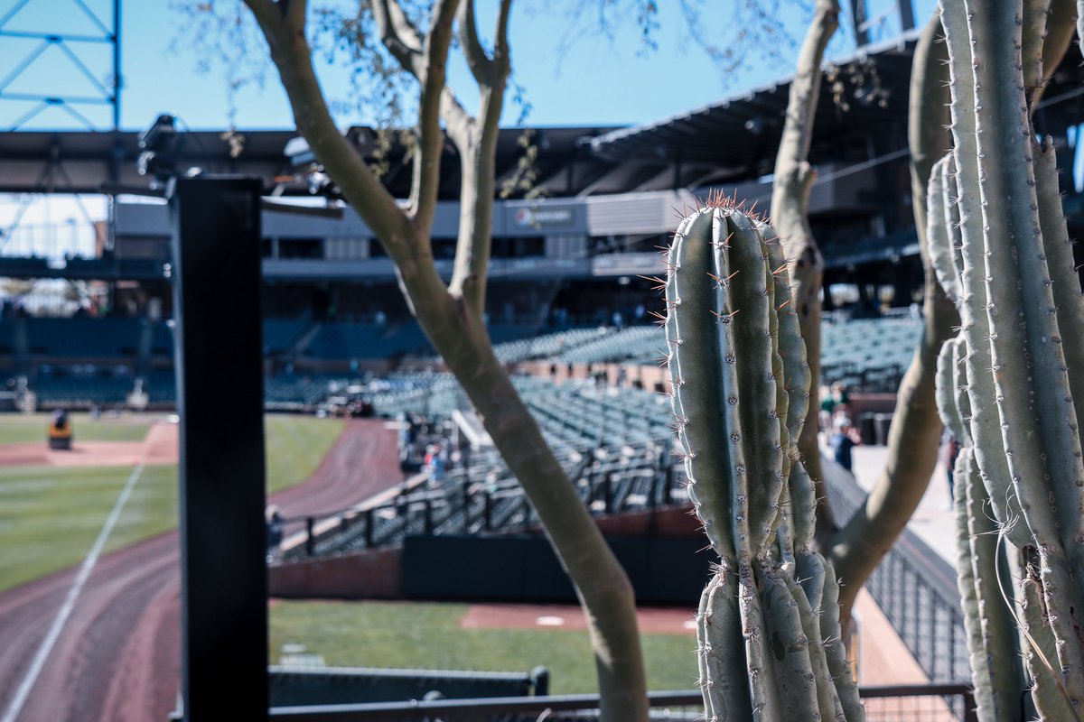 CleGuardians's tweet photo. If we get 1,000,000 RTs, we'll lick the cactus.

No, we're not feeling creative.
Yes, we will do it. https://t.co/R1RSJJZSCy