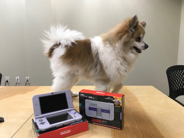 woot's tweet image. This week's Forum Giveaway features a small handheld. But enough about the dog we're giving away a Nintendo 3DS XL Super Nintendo Edition! 

Go enter on the forums:  amzn.to/2SvIQK5