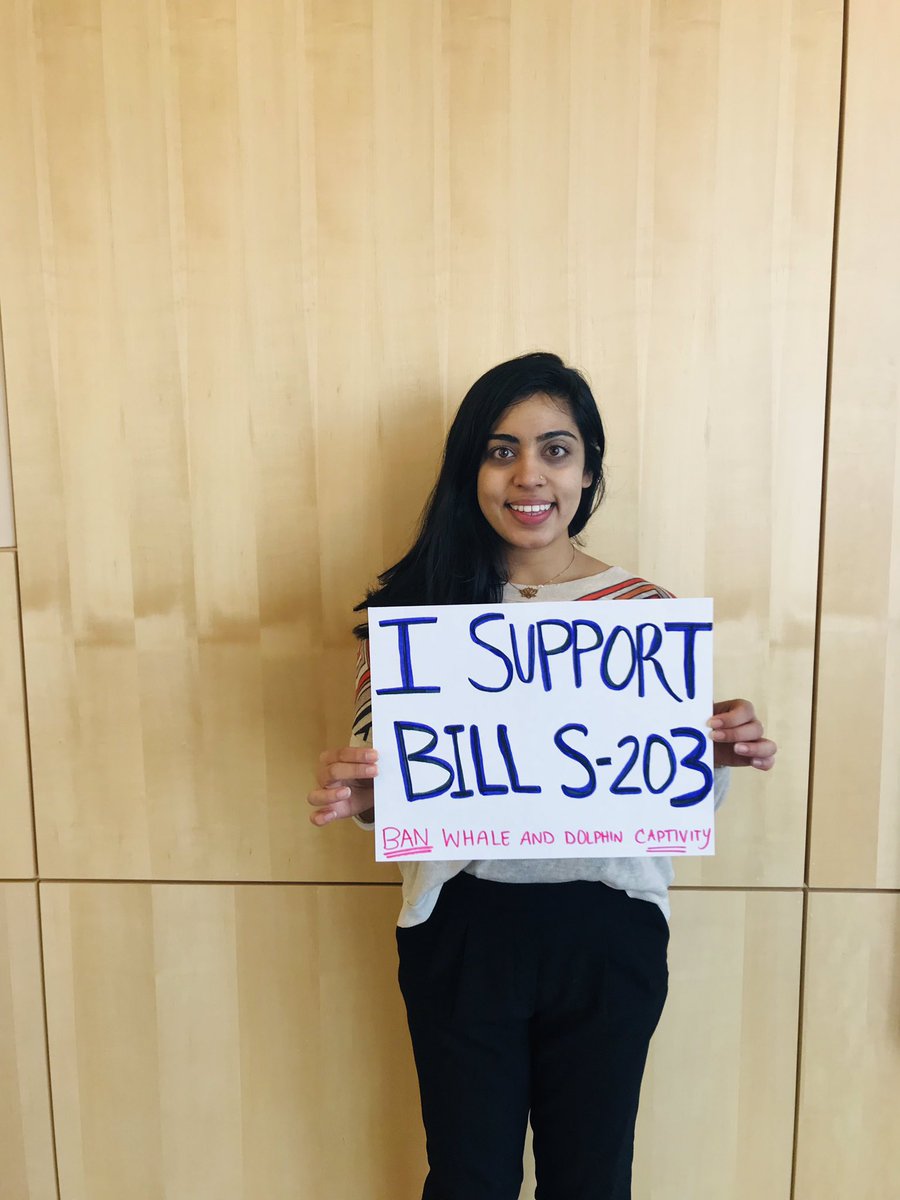 AnimalTru's tweet photo. We support #BillS203 #cdnpoli Captivity is cruel @FinDonnelly @avalonMPKen @MelArnoldMP @blainecalkinsmp @PatFinniganMP @KenHardie @MorrisseyEgmont @ChurenceRogers @AnimalJustice https://t.co/6HVLVbd6Vo