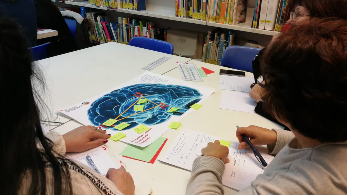 modelSCAP's tweet image. La #neurociència en diàleg amb la #pedagogia amb l&apos;eina @modelSCAP amb criteris i indicadors que acompanya els #EquipsDocents en els canvis planificats #TransformacióEducativa #innovació  #ÈxitEducatiu @jferrermiquel @NewsNeus