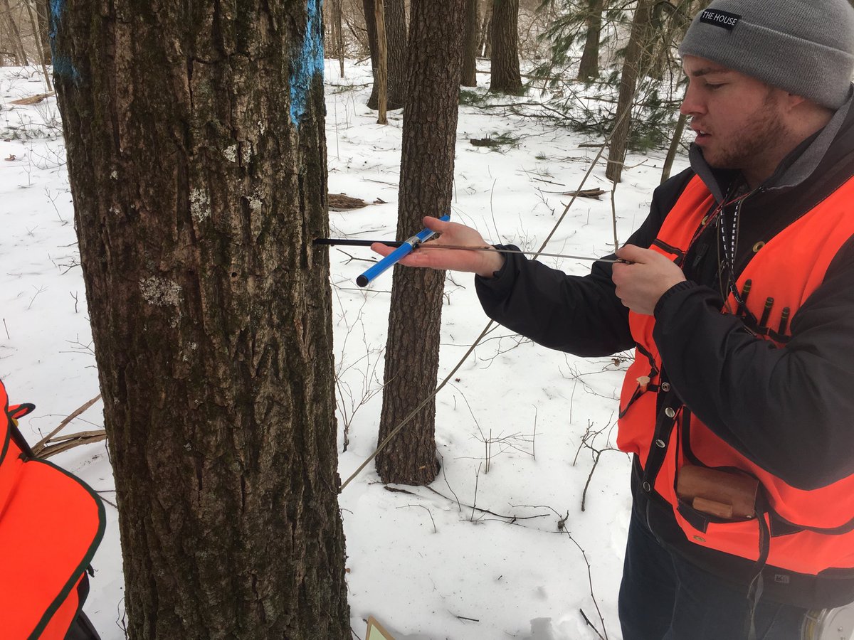 PSU_Forester's tweet photo. #PSUForestry students using increment borer to age trees and calculate site quality ⁦@PSUecosystems⁩ field class https://t.co/LL8tdSeFdF
