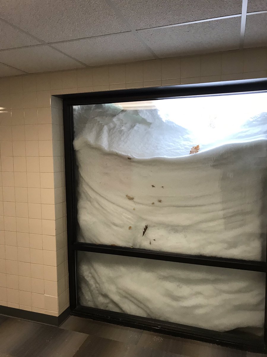 washmustangpe's tweet photo. Crazy start to the week here in Owatonna....just got a little bit of snow!!  Anyone have a shovel???!! https://t.co/6ibAMHTtxJ