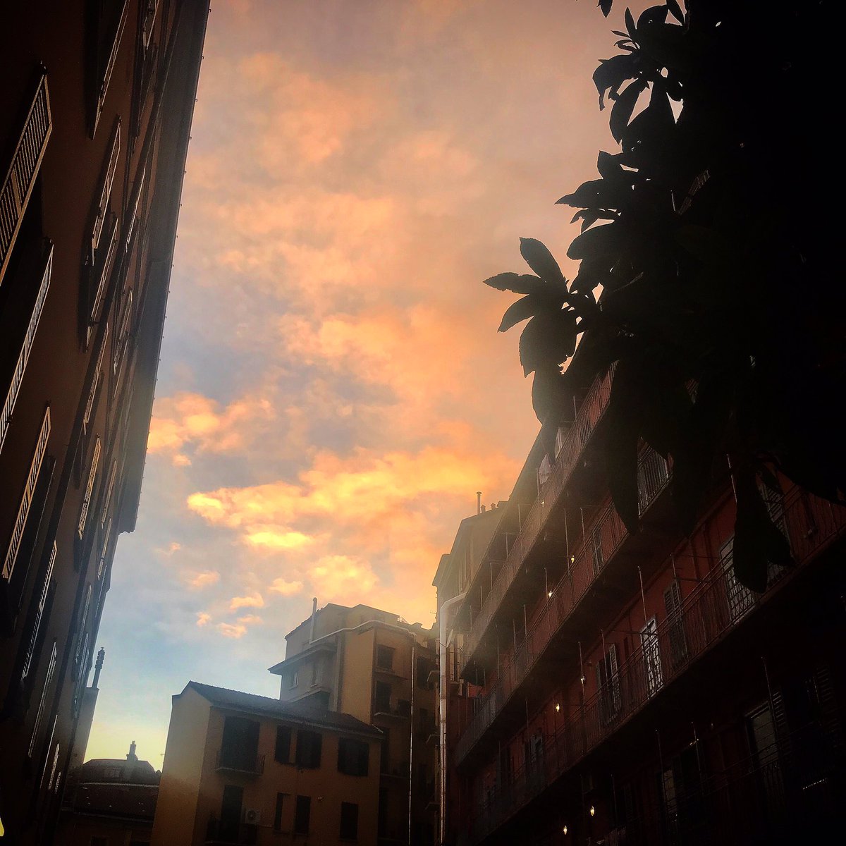 FraRodella's tweet image. Il #tramonto su @nneditore 
#Milano #Sabotino14