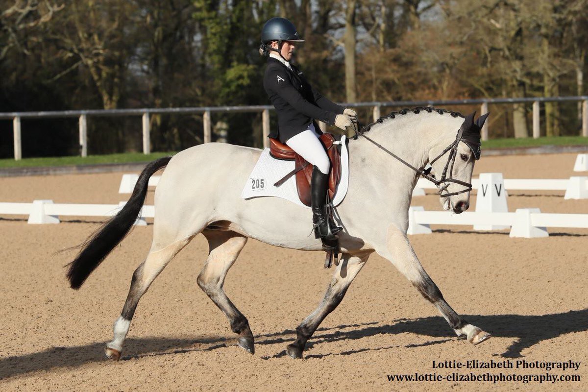 Liss_Joannides's tweet photo. 🌟🥁 @britishdressage Elementary Silver Regional Champions! 🥁🌟 @HSElite keeping me at my best! #MJEventing https://t.co/5pgk6RdYd9