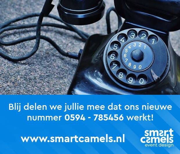 Smart Camels tweet media