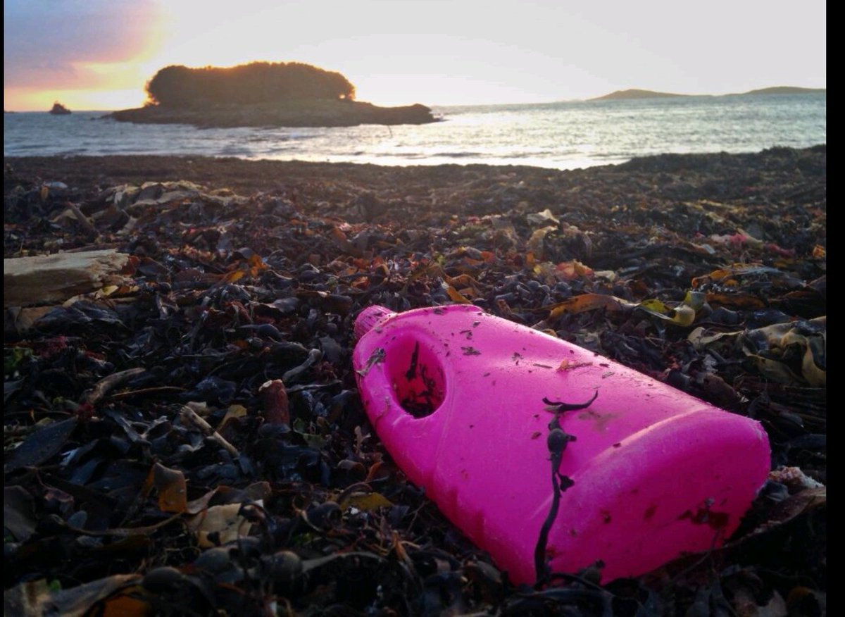 BareFootPhotographer 👣 tweet media