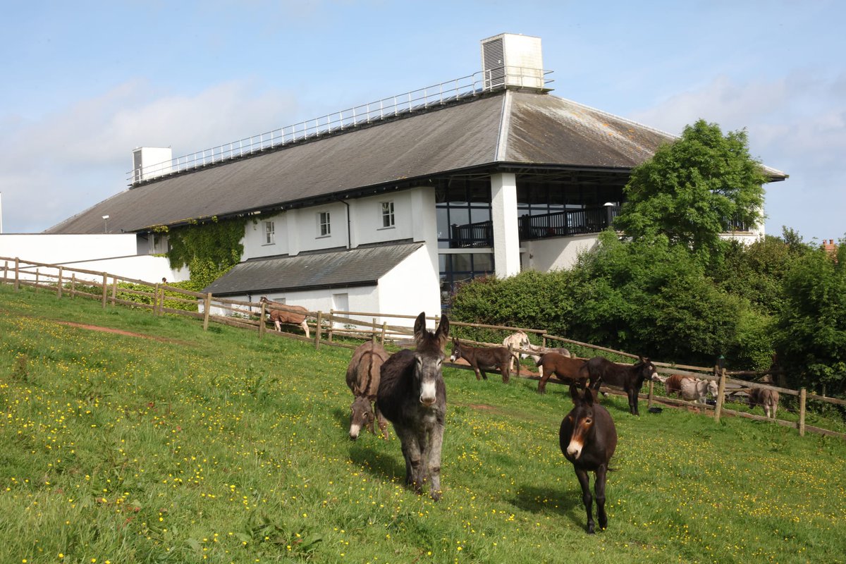 At the #Clovelly visitor centre, there's an array of activities. Enjoy a traditional Devonshire cream tea, do a spot of shopping and discover the history of our unique village in an informative film.

bit.ly/2DSiRbU