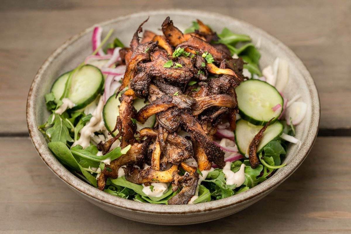 Shoukfood's tweet photo. Mushroom shawarma is good karma.
Feel like something lean and mean? Get it on mixed greens!
#HolyShouk #Shawarma #dcvegan
📸by @mariharsanstudios https://t.co/VLbe6yOTLt