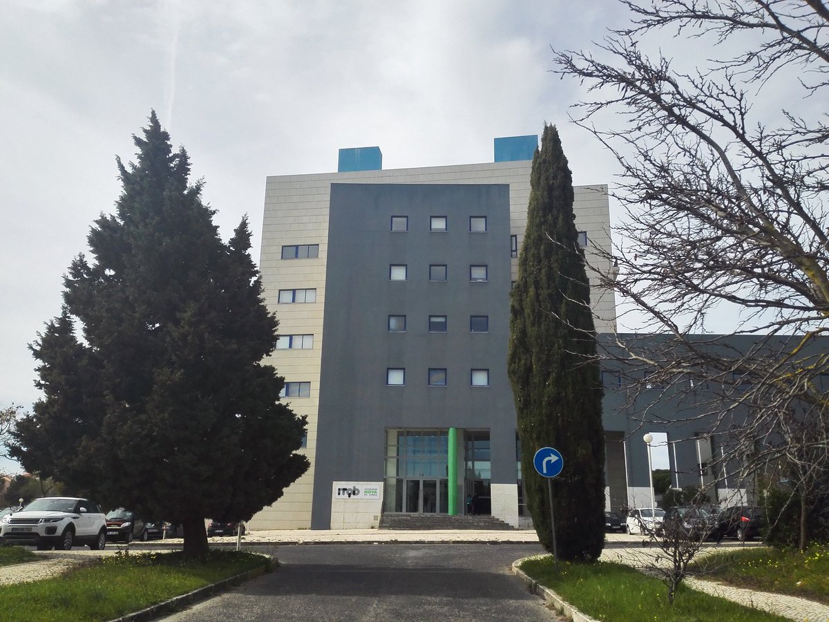 Plant Cell Biotechnology Laboratory tweet media