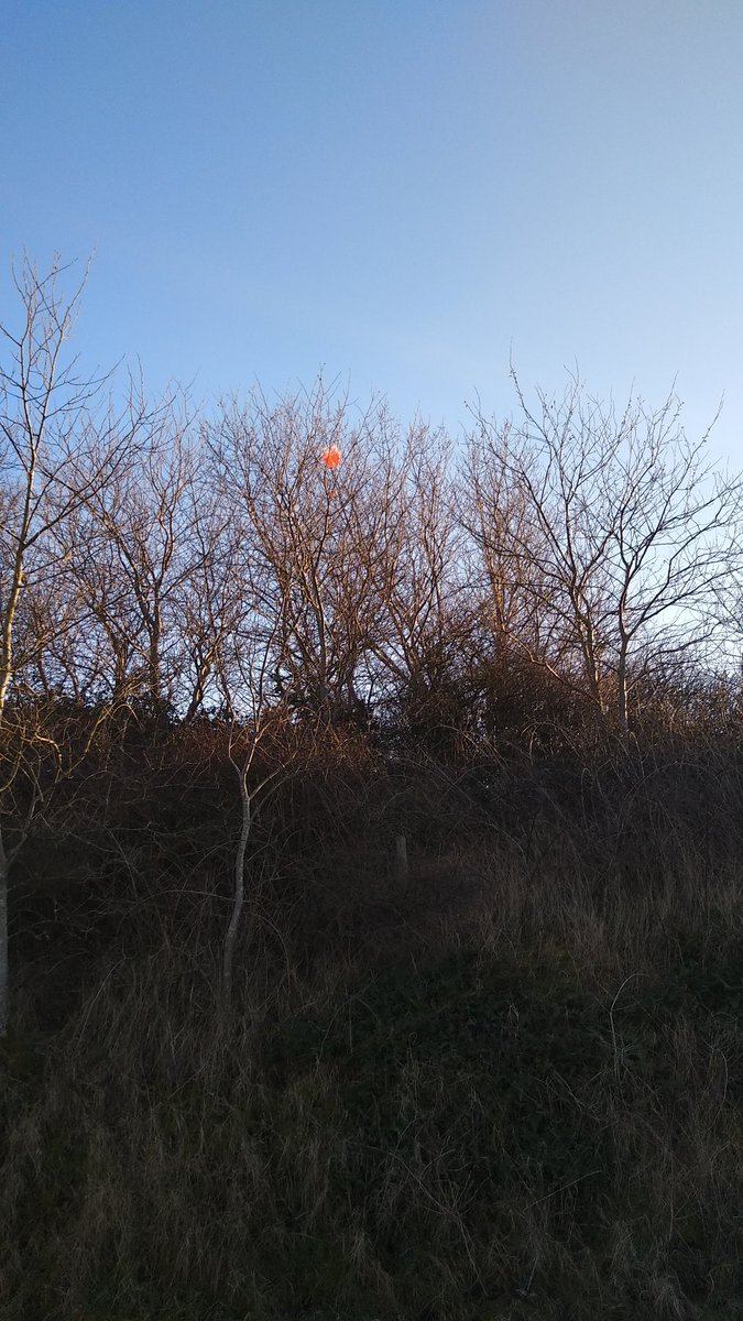 How Hard Can Sat Be cansathhcsb Twitter how-hard-can-sat-be-cansathhcsb-twitter