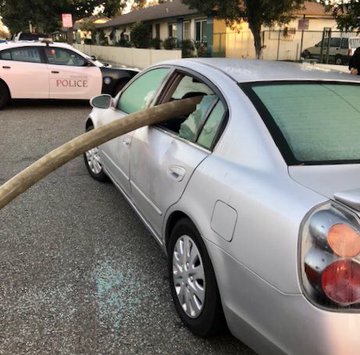 View image on Twitter