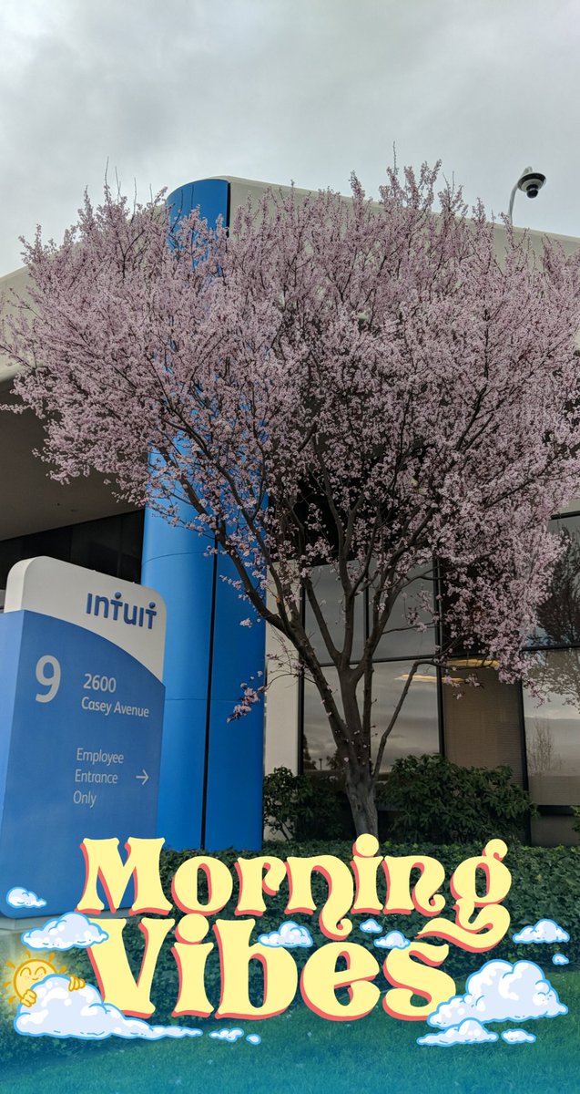 MsBananaSU's tweet photo. Ready for round 2! #intuitmanagers #leadingatintuit https://t.co/kShO0Wr0Ge