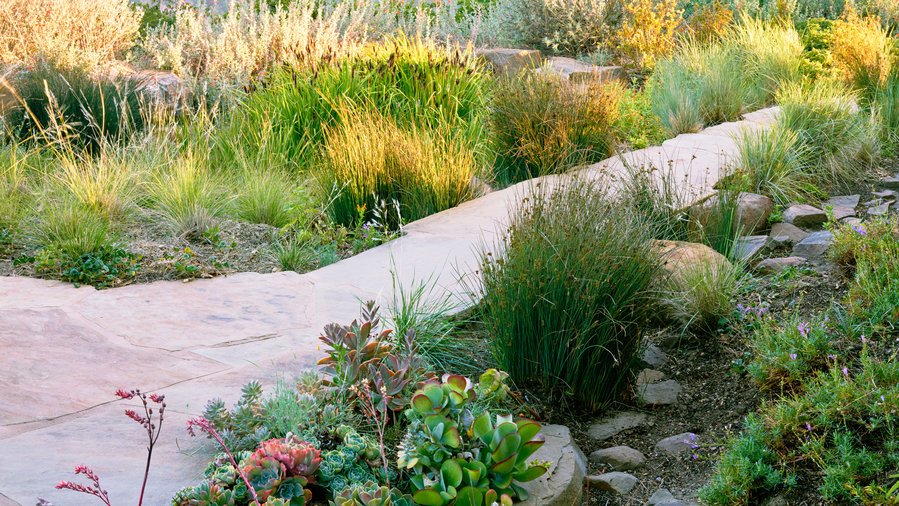 8 Ways to Collect #Rainwater in Your #Garden. sunset.com/garden/earth-f… … <a href="/sunset/">Sunset</a> #Taos, #NewMexico #Gardening #Landscaping #Design #Ideas