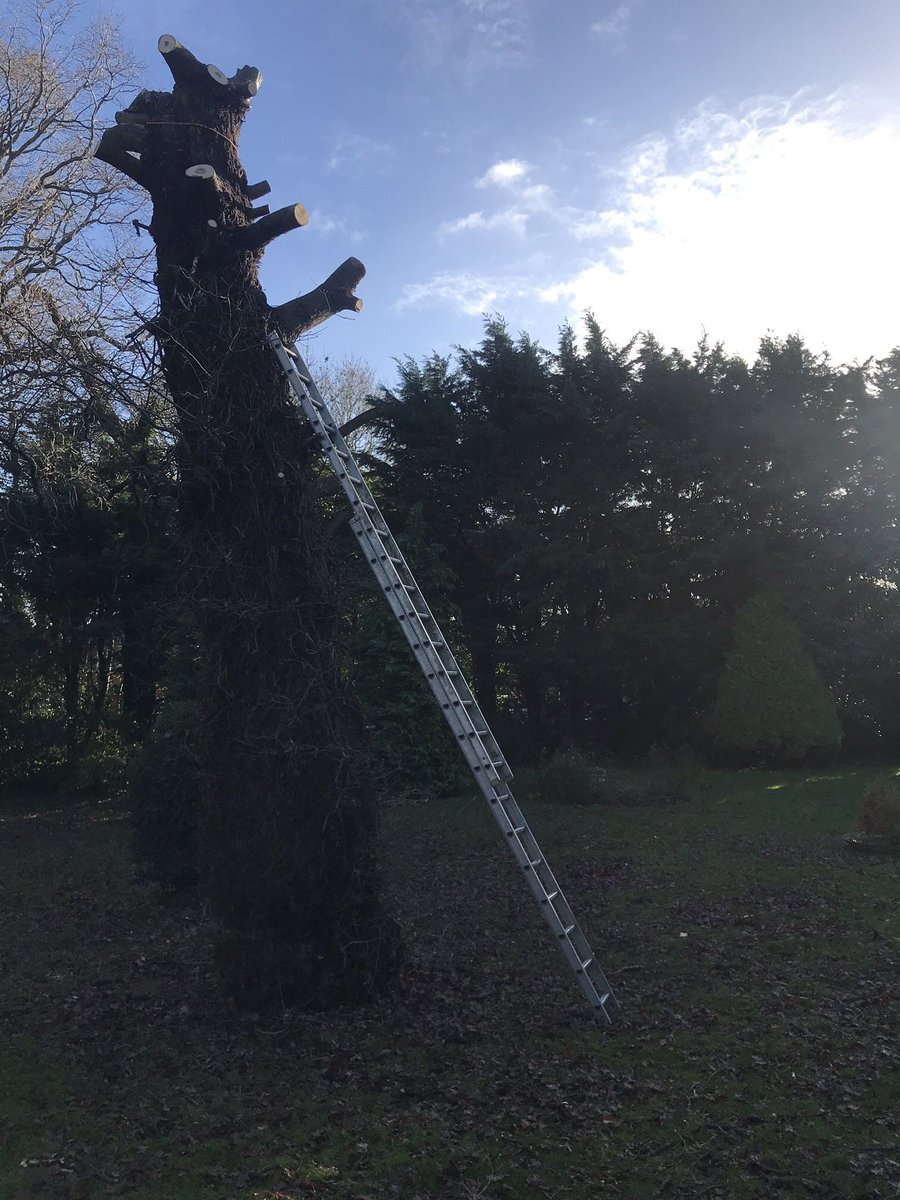 cutting edge property maintenance (CuttingProperty) Twitter