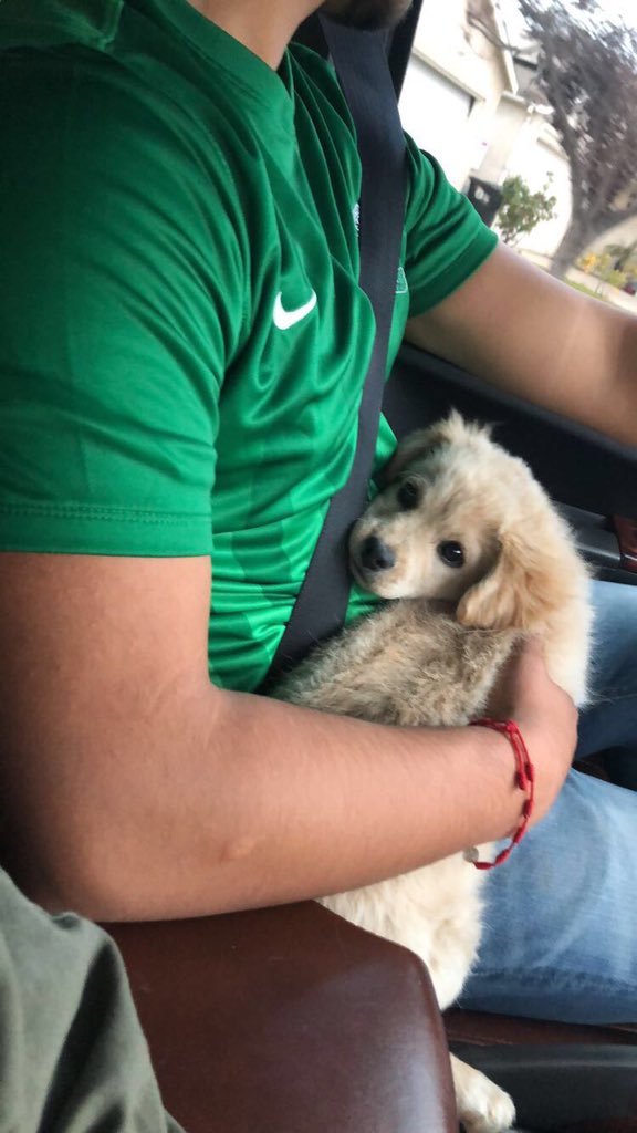 v (@viri_magana12) on Twitter photo Hey guys, my baby went missing on Friday afternoon while I was away, We believe he was stolen. He was last seen with his ugly Christmas sweater. I beg of you guys that if youโve seen my baby or have any information please feel free to dm me or text me! RT to save a life ๐ฅบ๐ Hey guys, my baby went missing on Friday afternoon while I was away, We believe he was stolen. He was last seen with his ugly Christmas sweater. I beg of you guys that if youโve seen my baby or have any information please feel free to dm me or text me! RT to save a life ๐ฅบ๐