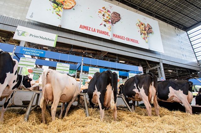 PHOTO_AM_FR's tweet photo. "Aimez la viande. Mangez-en mieux !" Salon International de l'Agriculture, à Paris, le 26 février 2019. © Aurélien Morissard / IP3 Press
#ip3press #picoftheday #photooftheday #shootoftheday #instagood #photojournalism #press #SIA2019 https://t.co/Z1GgBKvQWo