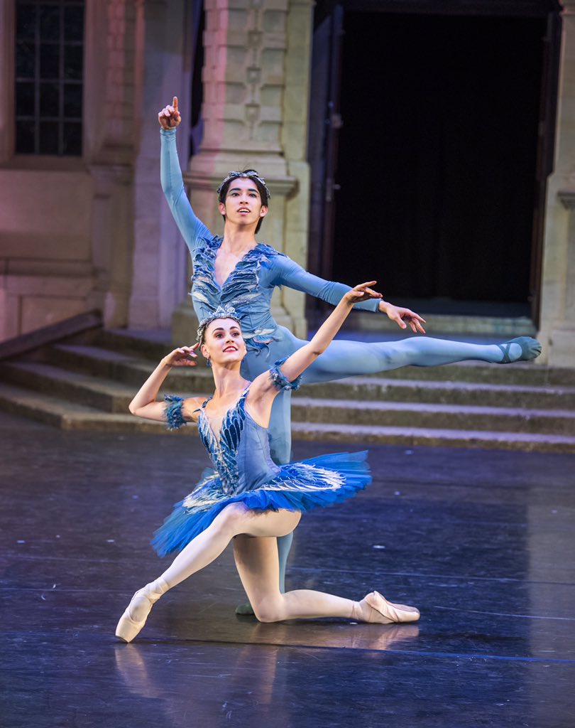 RoyalBalletSch's tweet photo. We are back at @OperaHollandPark for our Summer Performances, 4-6 July 2019 👏 #RBSatOHP 

Booking opens tomorrow, 27 February at 10am.

https://t.co/X6C8774gxG https://t.co/hANge5aMgR