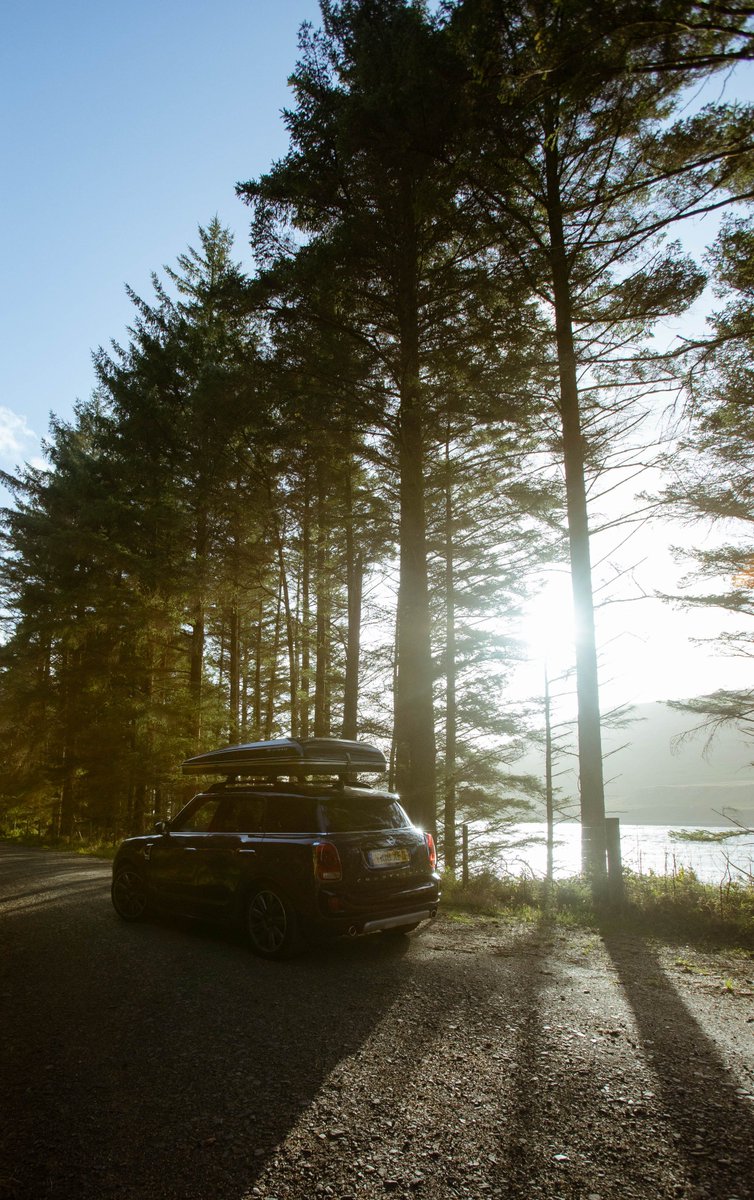 Grassicks MINI (@Grassicks_MINI) / Posts / X