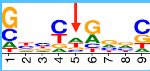 GenomeBiology's tweet photo. Li, Costa and co compare biases in DNase-seq and ATAC-seq data, then use the ATAC-seq bias info to improve footprinting results for predicting TF binding sites  
https://t.co/b3TkEozSt8 https://t.co/0pdU0GLX80