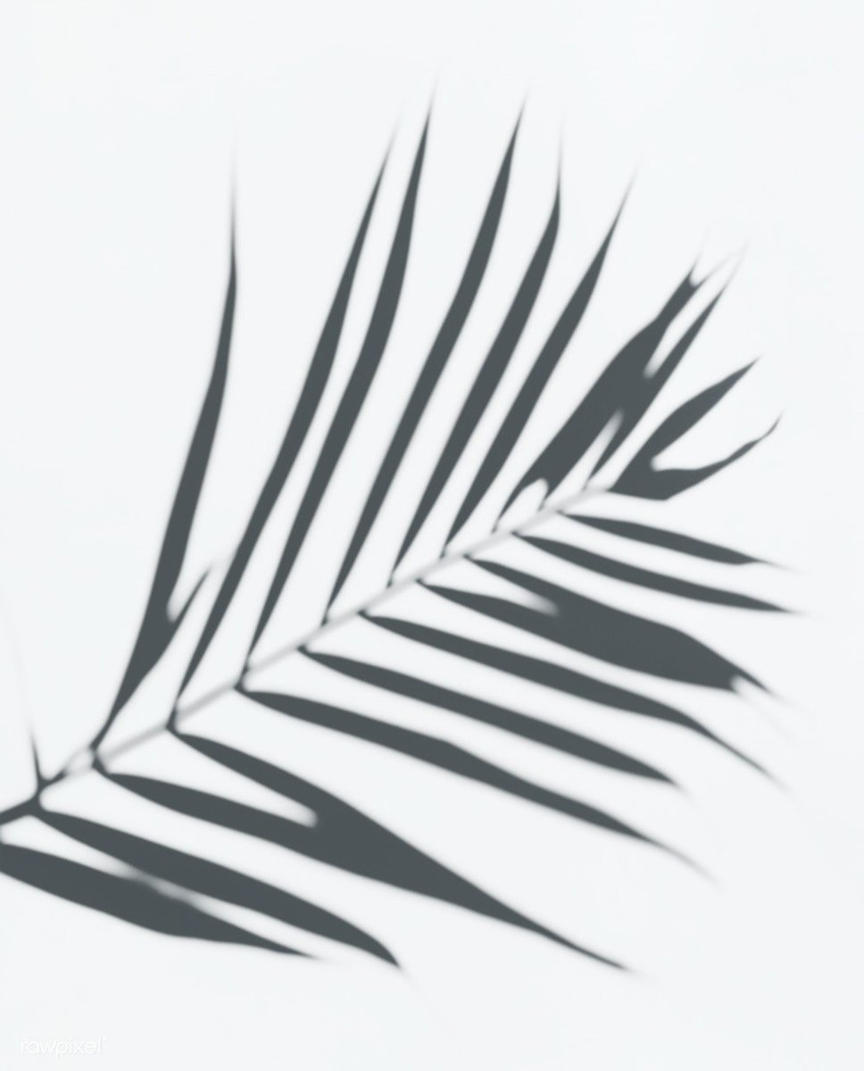 rawpixel tweet media